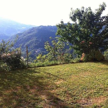 Ospitaci Appartamenti Di Campagna Le Rancole Valtopina Exterior foto